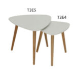 Coffee Table T3E5