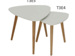 Coffee Table T3E5